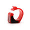 бирка кольца голубя 125КХз пассивная РФИД на приурочивая участвуя в гонке красный цвет ряд 2 до 10км читая